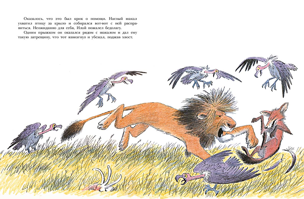 Лев по имени Илай (сборник сказок)