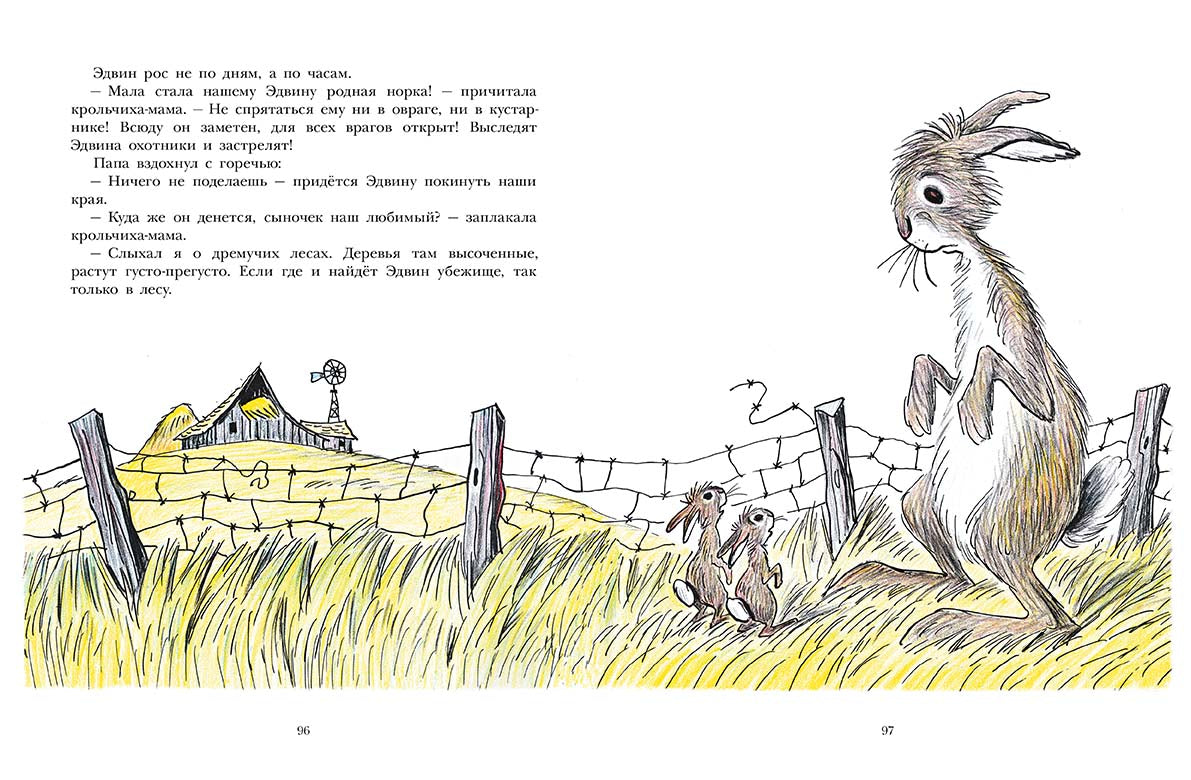 Лев по имени Илай (сборник сказок)