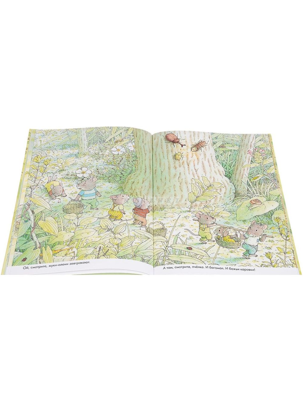 Завтрак. 14 лесных мышей