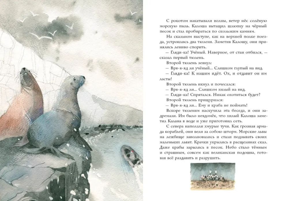 Калан, звезда и кок Калоша