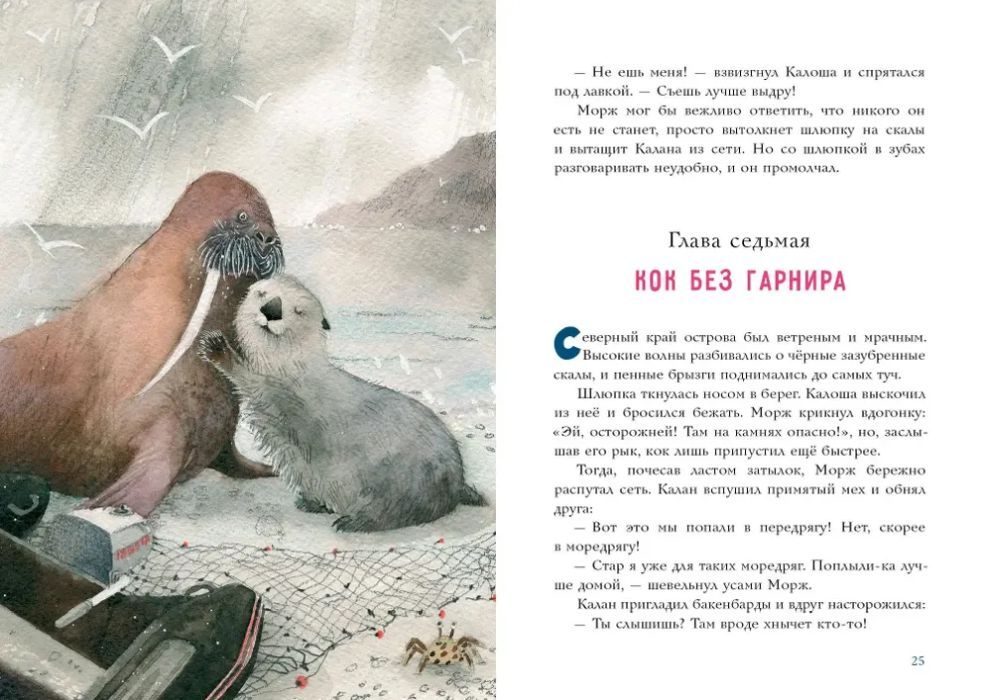 Калан, звезда и кок Калоша