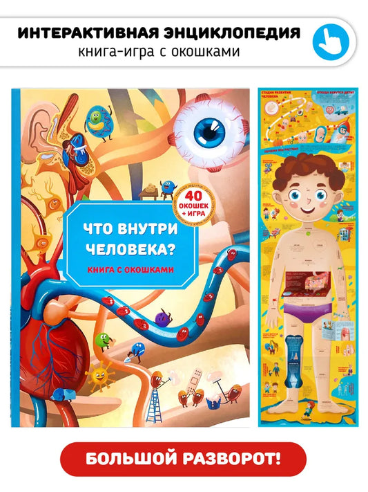 Анатомия. Книжка для самых маленьких с окошками "Что внутри человека"